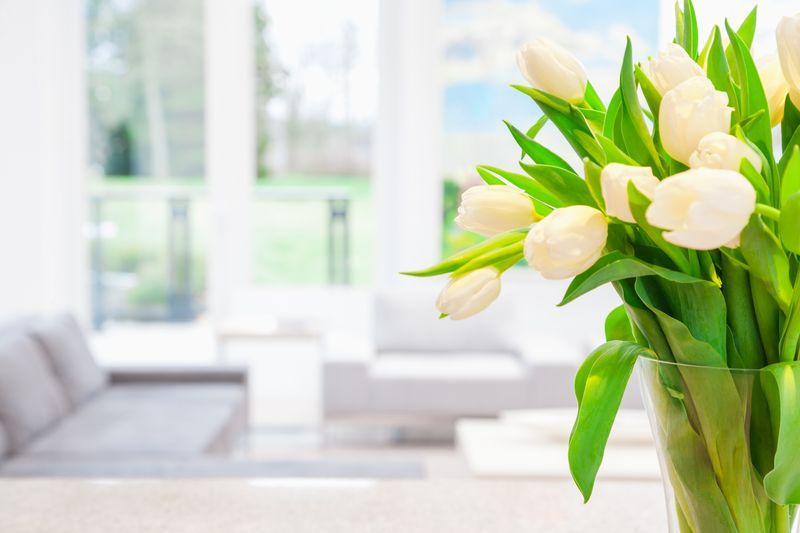 Specjalistyczne sprzątanie białe tulipany w wazonie